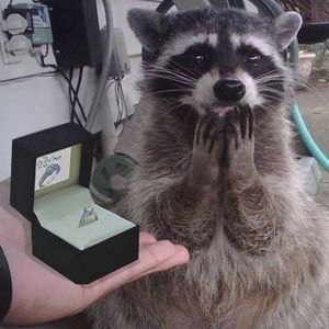 Meet your Posher, Dana